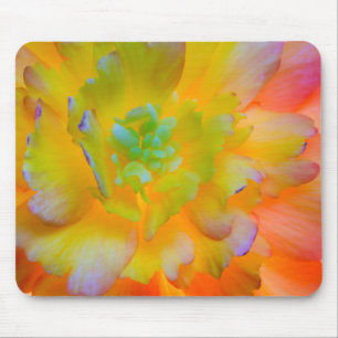Leuchtende Begonienblüte Seabeck, WA Mousepad