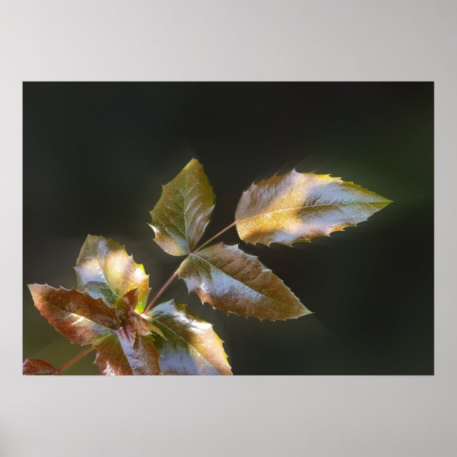 leuchtende Blätter Poster (Vorne)