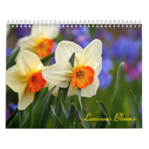 Leuchtende Blüten