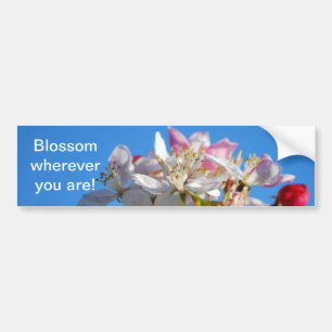 Leuchtende Kirschblüte Autoaufkleber