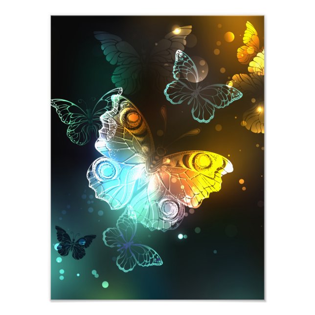 Leuchtende Schmetterlinge und Nachtschmetterlinge Fotodruck (Vorne)