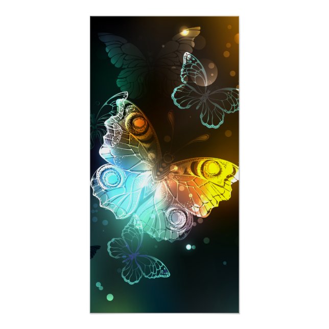 Leuchtende Schmetterlinge und Nachtschmetterlinge Poster (Vorderseite)