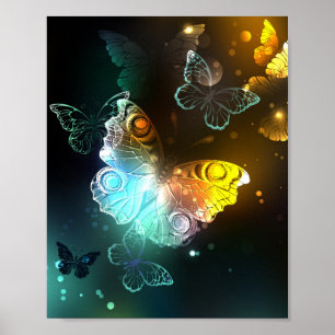 Leuchtende Schmetterlinge und Nachtschmetterlinge Poster