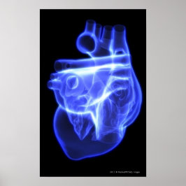 Leuchtende Sicht auf das menschliche Herz Poster
