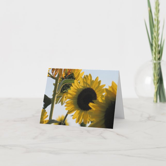 Leuchtende Sonnenblumenkarte Dankeskarte (Vorderseite)