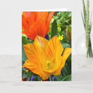 Leuchtende Tulpen Leere Notizkarte Dankeskarte