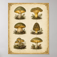 Leuchtende Vintage-Pilzkarte Cottagecore-Botanik
