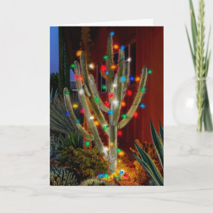 Leuchtender Weihnachts-Cactus, Feiertagskarte
