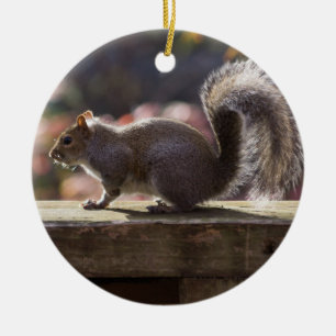 Leuchtendes Eichhörnchen Keramikornament