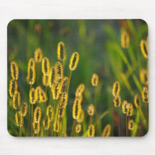 leuchtendes Gras - Mousepad