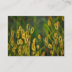 Leuchtendes Gras - Visitenkarte