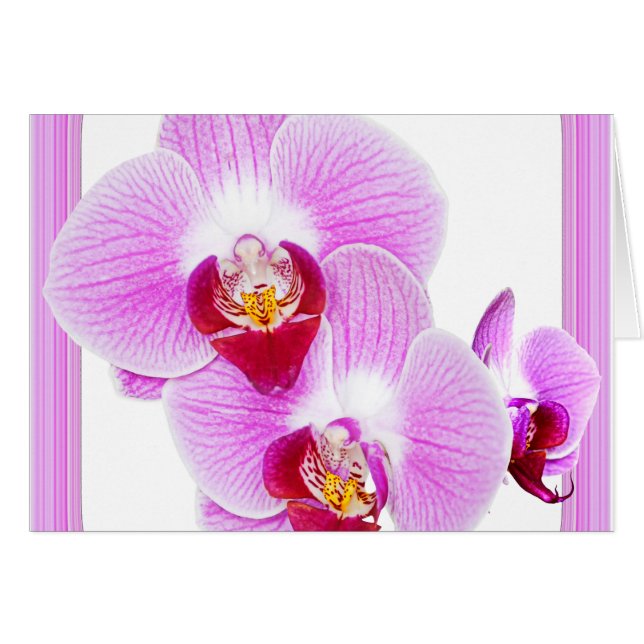 Leuchtendes Orchideen-Nahaufnahme-Foto mit (Vorderseite (Horizontal))