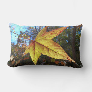 Leuchtendes Sweetgum-Blatt im Wald Lendenkissen