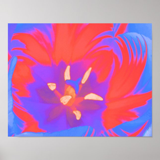 Leuchtendes Tulpenposter Poster (Vorne)