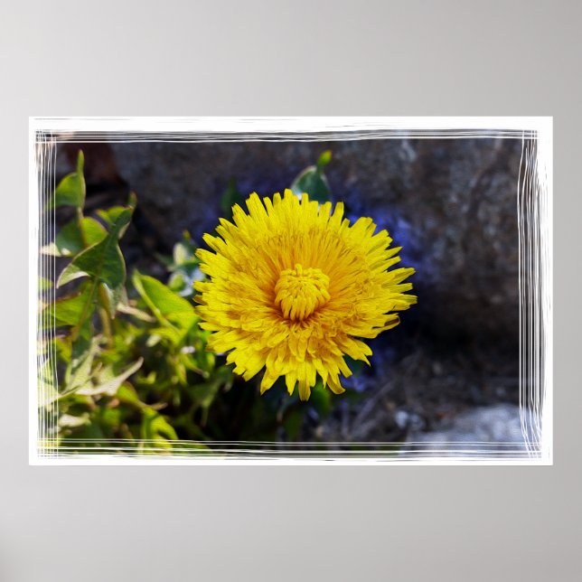 Leuchter im Sonnenlicht Poster (Vorne)