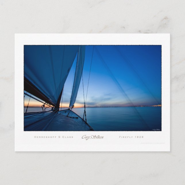 Leuchtkäfer Postkarte (Vorderseite)