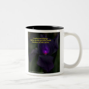 Leuchtkäfer u. Stardust Tasse