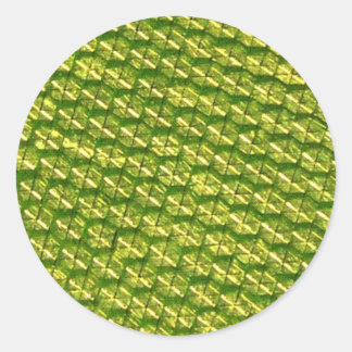 Leuchtkraft! Runder Aufkleber