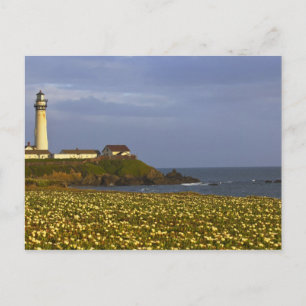 Leuchtturm am Pigeon Point Staat Beach in San Postkarte