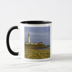 Leuchtturm am Pigeon Point State Beach in San Tasse