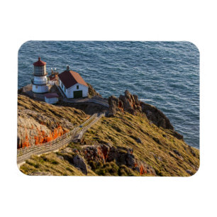 Leuchtturm an Point Reyes National Seashore Magnet