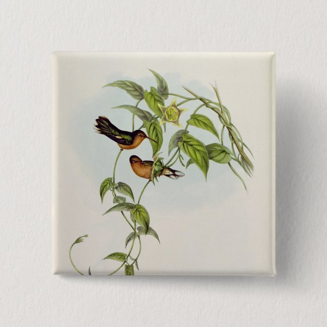 Leucippus Fallax Button (Vorderseite)