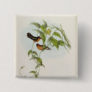 Leucippus Fallax Button