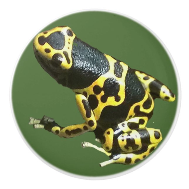 Leucolmelas Fachzug, Frosch-Türknauf-Pfeilfrosch Keramikknauf (Vorderseite)