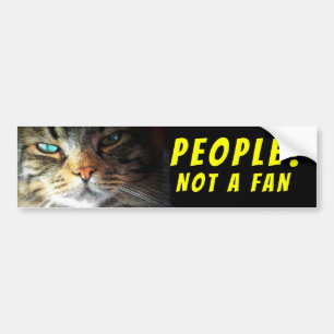 Leute? Kein Fan Cat Meme Autoaufkleber
