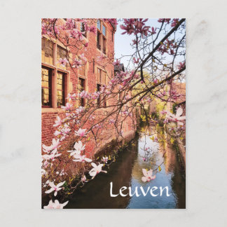 Leuven Belgique photo de voyage Carte postale