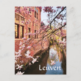 Leuven Belgium Foto Postkarte