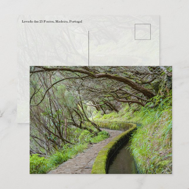 Levada das 25 Fontes Madeira Postcard Postkarte (Vorne/Hinten)