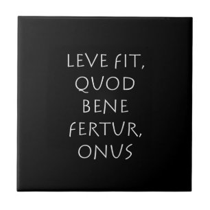Leve fit quod bene fertur onus fliese