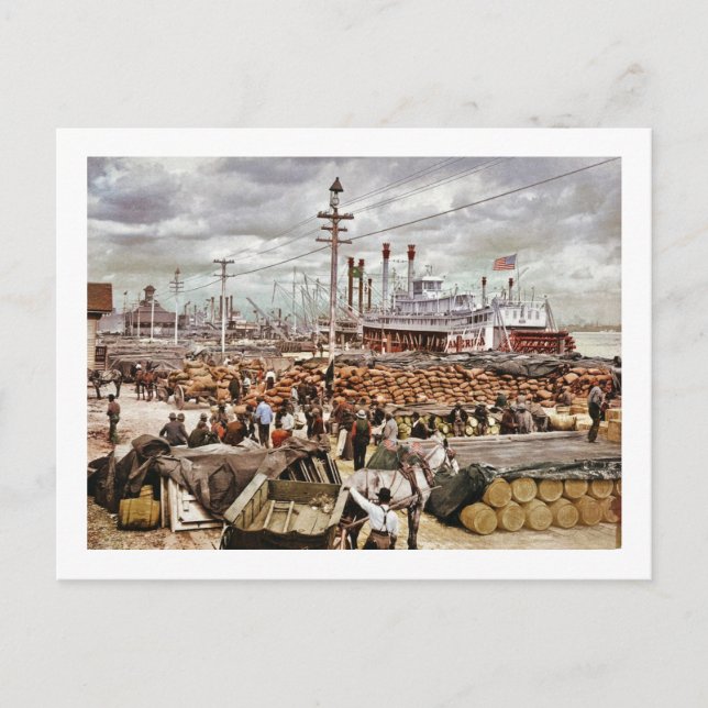 Levee at Canal Street New Orleans 1900 Postkarte (Vorderseite)