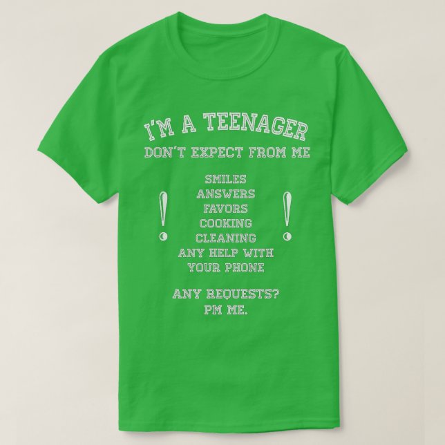 Level 13 Unlocked 13th Video Birthday Gift T-Shirt (Design vorne)