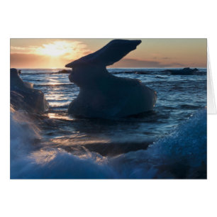 Lever de soleil et formations d'icebergs