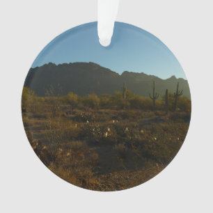 Lever du soleil du Saguaro dans le parc national d