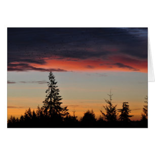 Lever du soleil et arbres