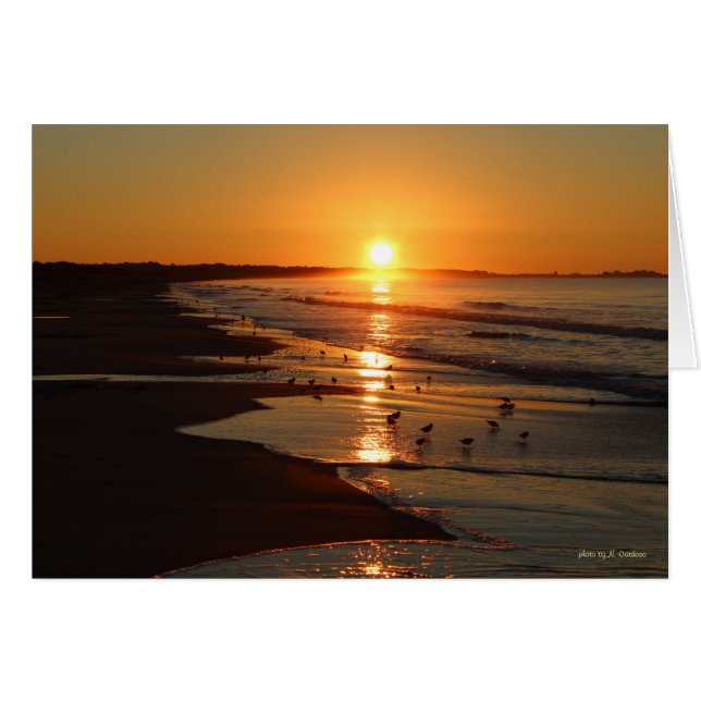 Lever du soleil sur la plage de Horseneck (Devant horizontal)