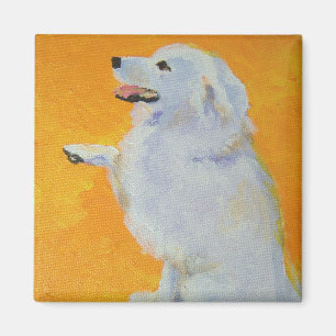 Levines Bailey Magnet