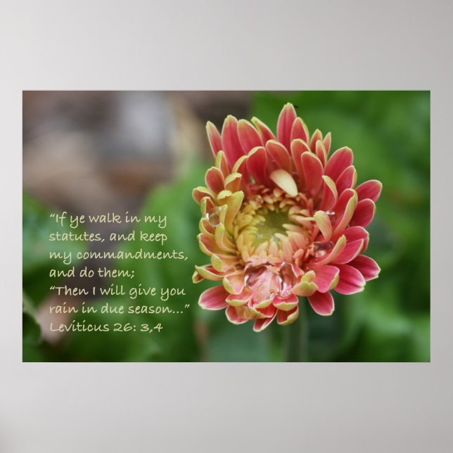 Leviticus 26:3,4 Poster des écritures (Devant)