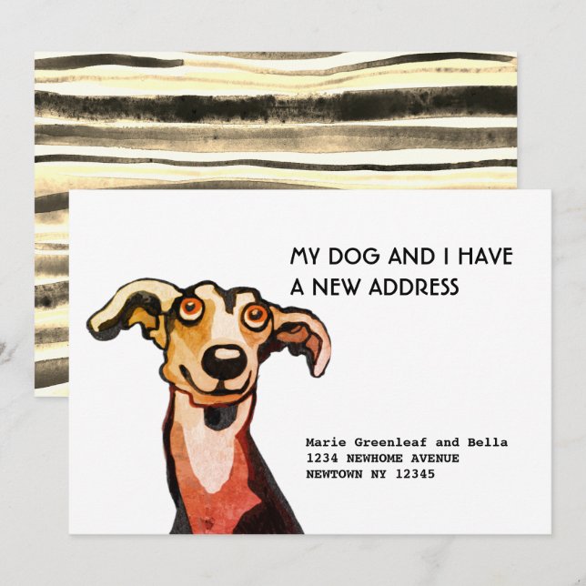 Lévrier et moi avons déménagé, Carte d'annonce de  (Devant / Derrière)