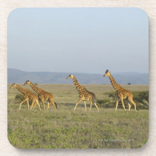 Lewa Tier-Erhaltung, Kenia Untersetzer