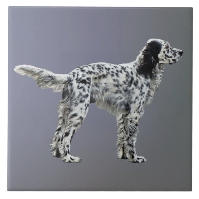 Lewellin Setter Fliese (Vorderseite)
