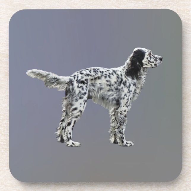 Lewellin Setter Getränkeuntersetzer (Vorderseite)