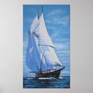 Lewis' Sailboat Poster