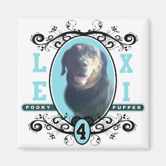 LEXI MAGNET