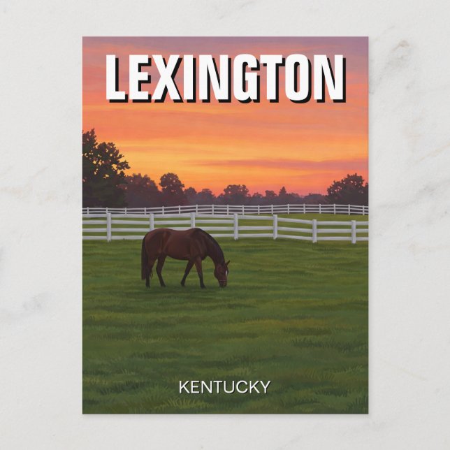 Lexington Kentucky Postcard Horse Sunset Postkarte (Vorderseite)