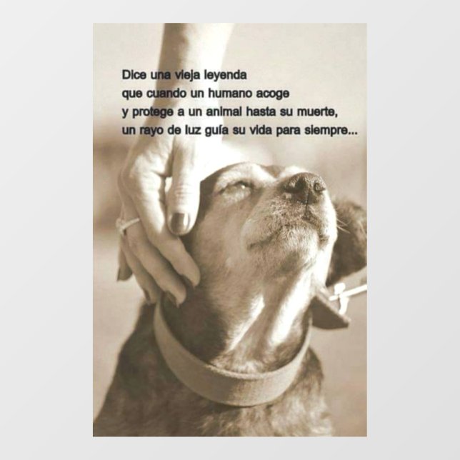 Leyenda sobre adoptar animales fensteraufkleber (Blatt)