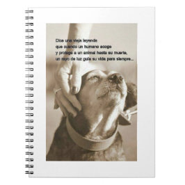 Leyenda sobre adoptar animales notizblock